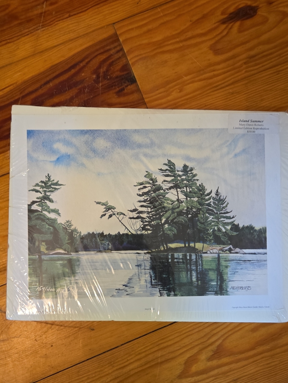 Island Summer Lake Art Print - Blue & Green